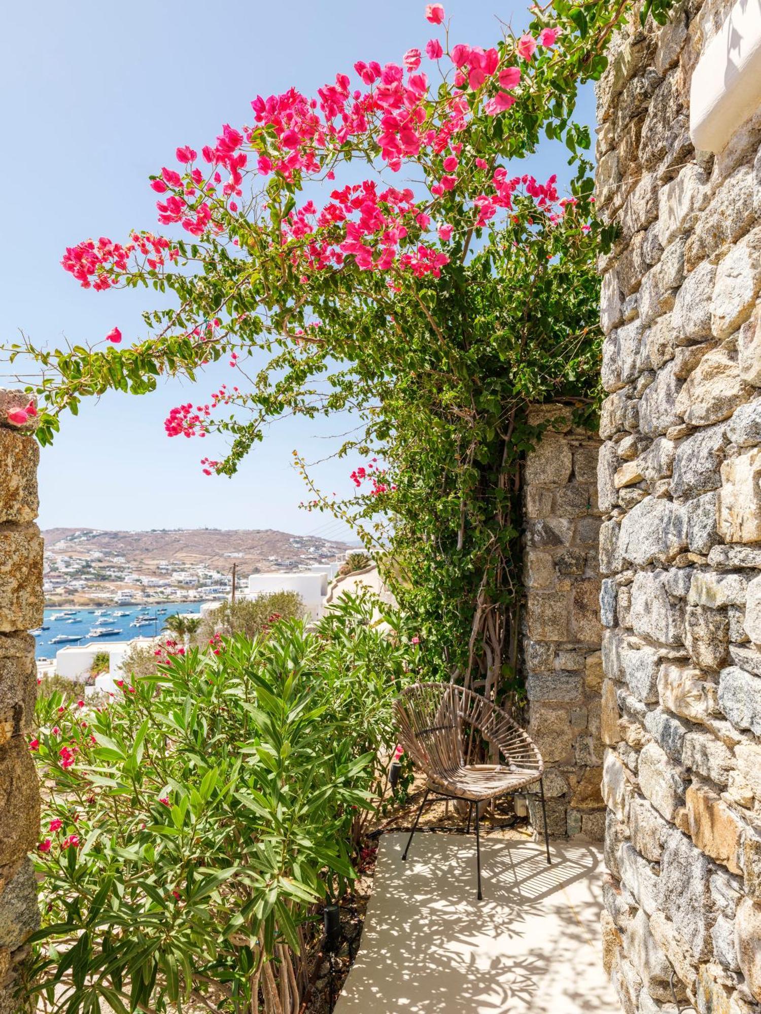 V&V Guest House - Luxury Suites Ornos  Esterno foto